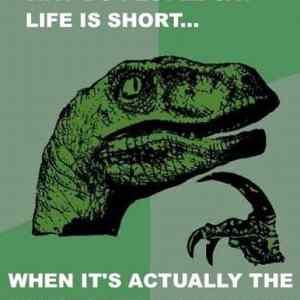 Obrázek 'Life Is Short'
