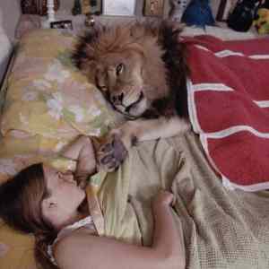 Obrázek 'Lion - 07-05-2012'