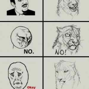 Obrázek 'Lion memes'