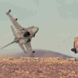 Obrázek 'Lock&nbsp;On&nbsp;Wildlife&nbsp;Edition'