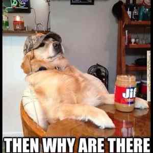 Obrázek 'Logic58789'