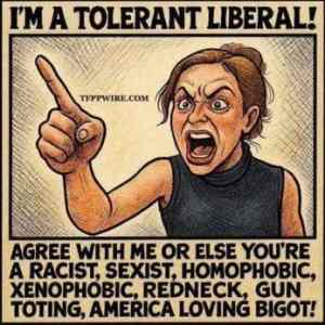 Obrázek 'Logika libtardu v kostce'