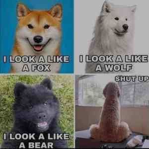 Obrázek 'Look-a-likes'
