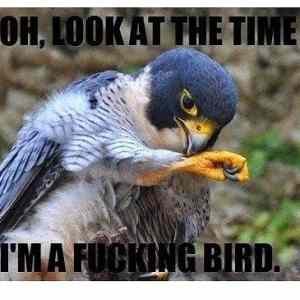 Obrázek 'Look at the time'