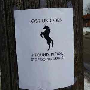 Obrázek 'Lost Unicorn  '