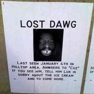 Obrázek 'Lost dawg'