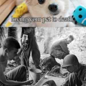 Obrázek 'Loving&nbsp;your&nbsp;pet'