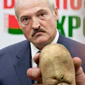Obrázek 'Lukasenko '