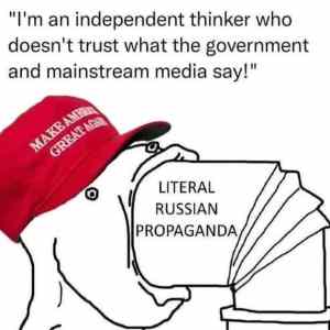 Obrázek 'MAGA-sheeples-be-like-1745343517159'