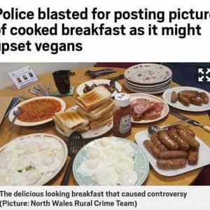 Obrázek 'MAY Upset Vegans'