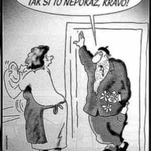 Obrázek 'MDK'