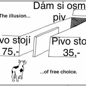 Obrázek 'MRGA0817-iluze'
