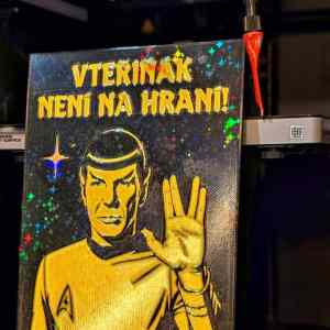 Obrázek 'MRGA1078-Spock'