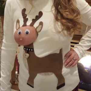 Obrázek 'MRGA1098-Vanoce'