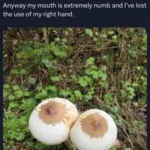 Obrázek 'MRGA1101-masRum'