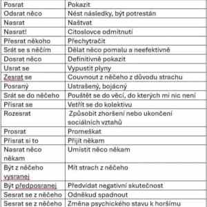 Obrázek 'MRGA1132-cestina'