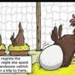 Obrázek 'MRGA1134-auvajs'