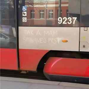 Obrázek 'MRGA1152-Spina'