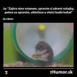 Obrázek 'MRGA1170-EveryDamnMorning'