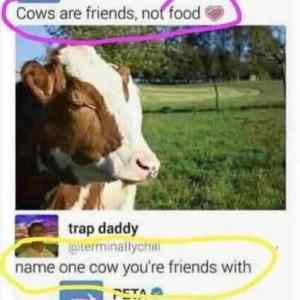 Obrázek 'MRGA1198-PETA'