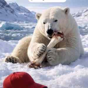 Obrázek 'MRGA1272-ReseniProICE'