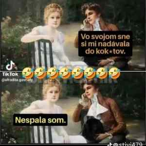 Obrázek 'MRGA1308-ZoSna'