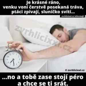 Obrázek 'MRGA1312-EveryFriggingDay'