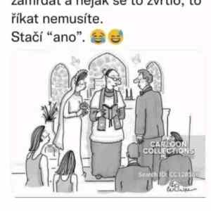 Obrázek 'MRGA1319-prosteAno'