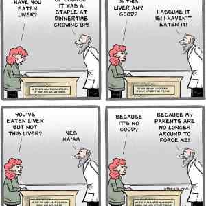 Obrázek 'MRGA1345-liver'