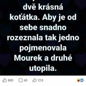 Obrázek 'MRGA1347-babicka'