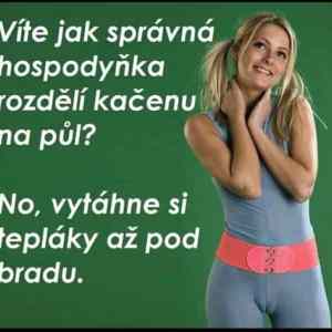 Obrázek 'MRGA1361-kacena'