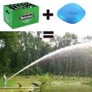 Obrázek 'MRGA1366-KazdeRano'