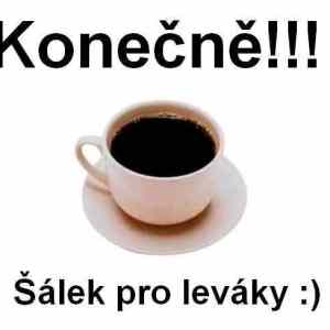 Obrázek 'MRGA1368-salek'