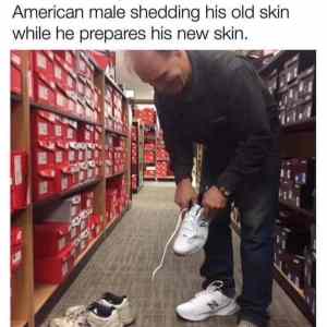 Obrázek 'MRGA1376-shedding'