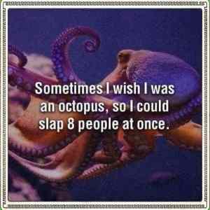 Obrázek 'MRGA1383-SlapitySlap'