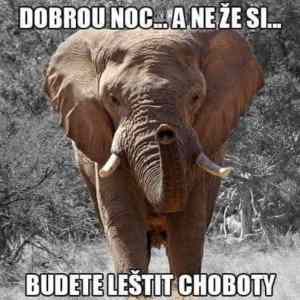 Obrázek 'MRGA1402-NoChobots'