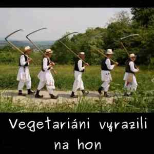 Obrázek 'MRGA551-VeganiNaLovu'