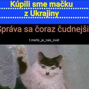 Obrázek 'Macka&nbsp;z&nbsp;UA'