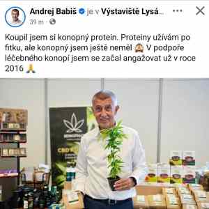 Obrázek 'Makak lovi u Piratu'