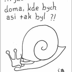 Obrázek 'MakeRoumingFunnyAgain-JsemDoma'