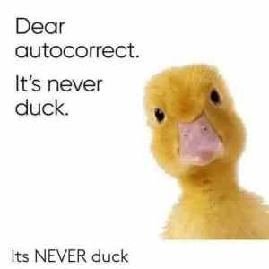 Obrázek 'MakeRoumingFunnyAgain-NeverDuck'