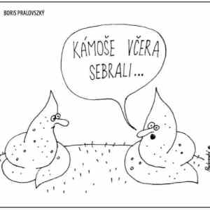 Obrázek 'MakeRoumingFunnyAgain-SebraliHo'