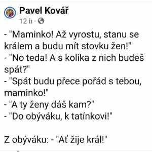 Obrázek 'MakeRoumingFunnyAgain-longlivetheking'