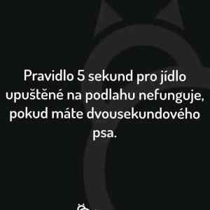 Obrázek 'MakeRoumingXmasAgain-14'