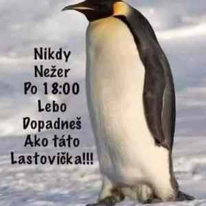 Obrázek 'MakeRoumingXmasAgain-24'