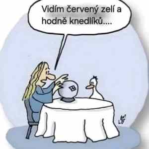 Obrázek 'MakeRoumingXmasAgain-26'