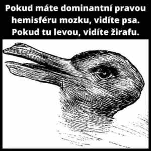 Obrázek 'MakeRoumingXmasAgain-28'