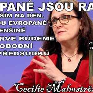 Obrázek 'Malmstromova SW'