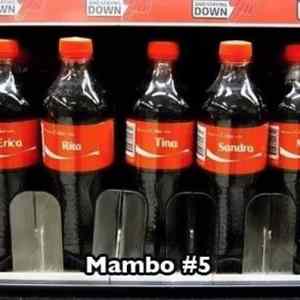 Obrázek 'Mambo 5'