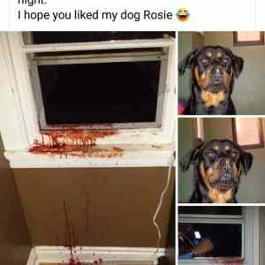 Obrázek 'Mame radi Ruzenku'